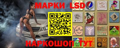 стаф Кимры