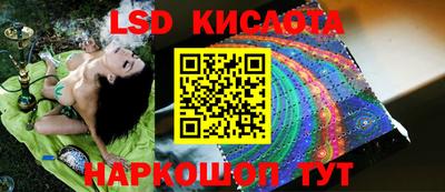 спайс Кингисепп