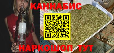 спайс Кингисепп