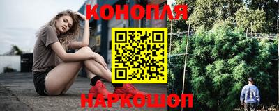 спайс Кингисепп