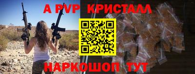 стаф Кимры