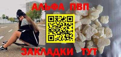 спайс Кингисепп