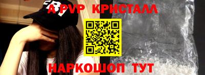 спайс Кингисепп