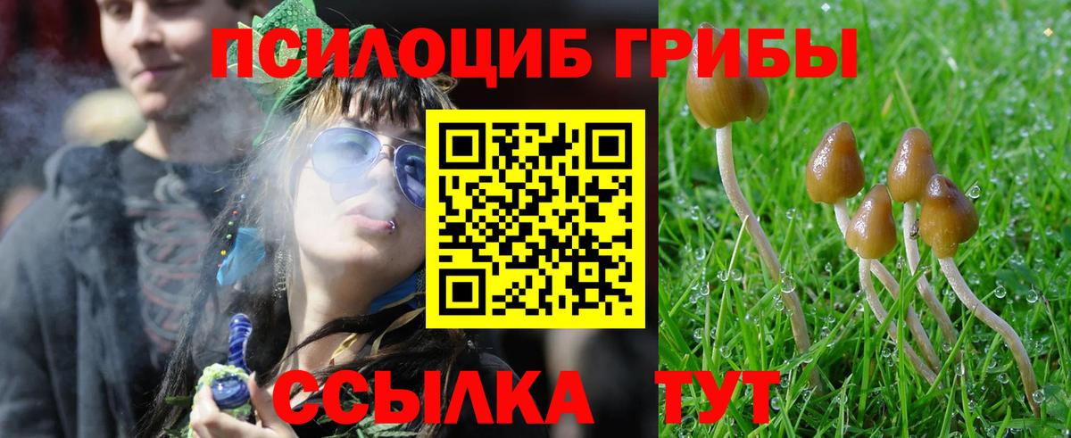 Кострома  Псилоцибиновые грибы мухоморы  Вход с VPN 